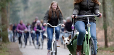 Afbeelding van Mobiliteitsbeeld 2021