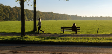 Afbeelding van Reis via Hub: Het netwerk in Groningen en Drenthe