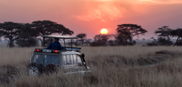 Afbeelding van HUBsafari - Op wandelsafari over het ov-knooppunt